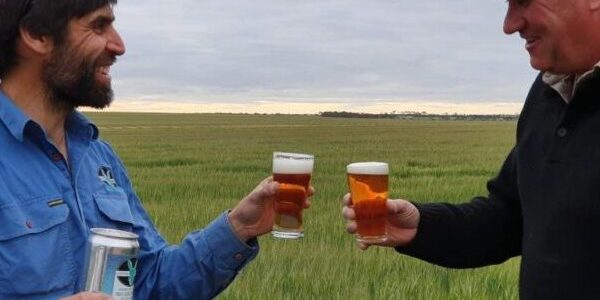 From paddock to pint - Lucky Bay Brewing keeping it real.