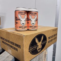 BEER: Hoppy Lager - CARTON