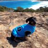 Blue fleece dog coat by Lucky Bay Brewing