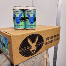 BEER: South Coast IPA - CARTON